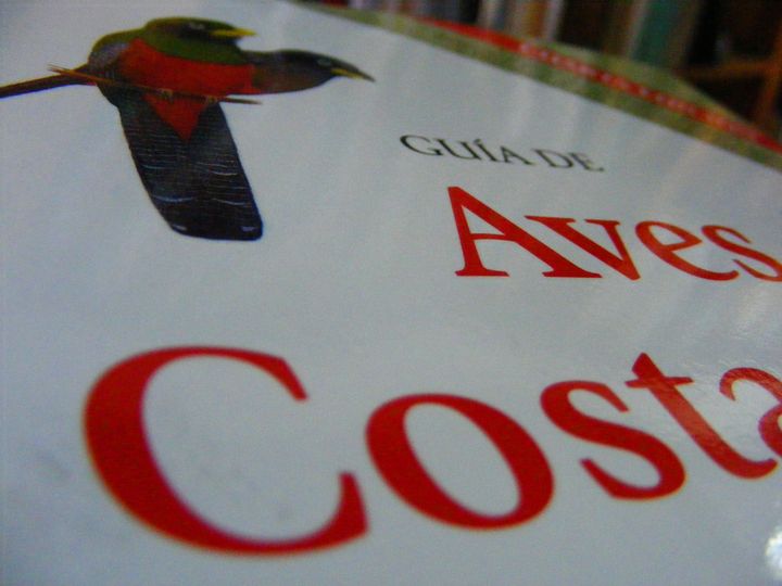 biblioteca 045 copy.jpg